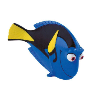 DORY