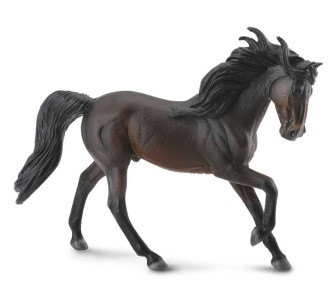 CABALLO ANDALUZ CASTAÑO