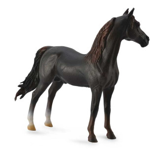 CABALLO MORGAN CASTAÑO