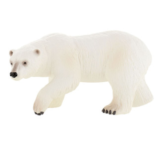 OSO POLAR