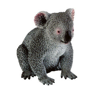 KOALA