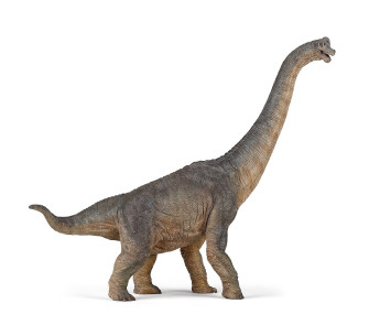 BRACHIOSAURUS