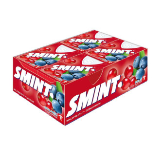 SMINT FRUTAS SILVESTRES
